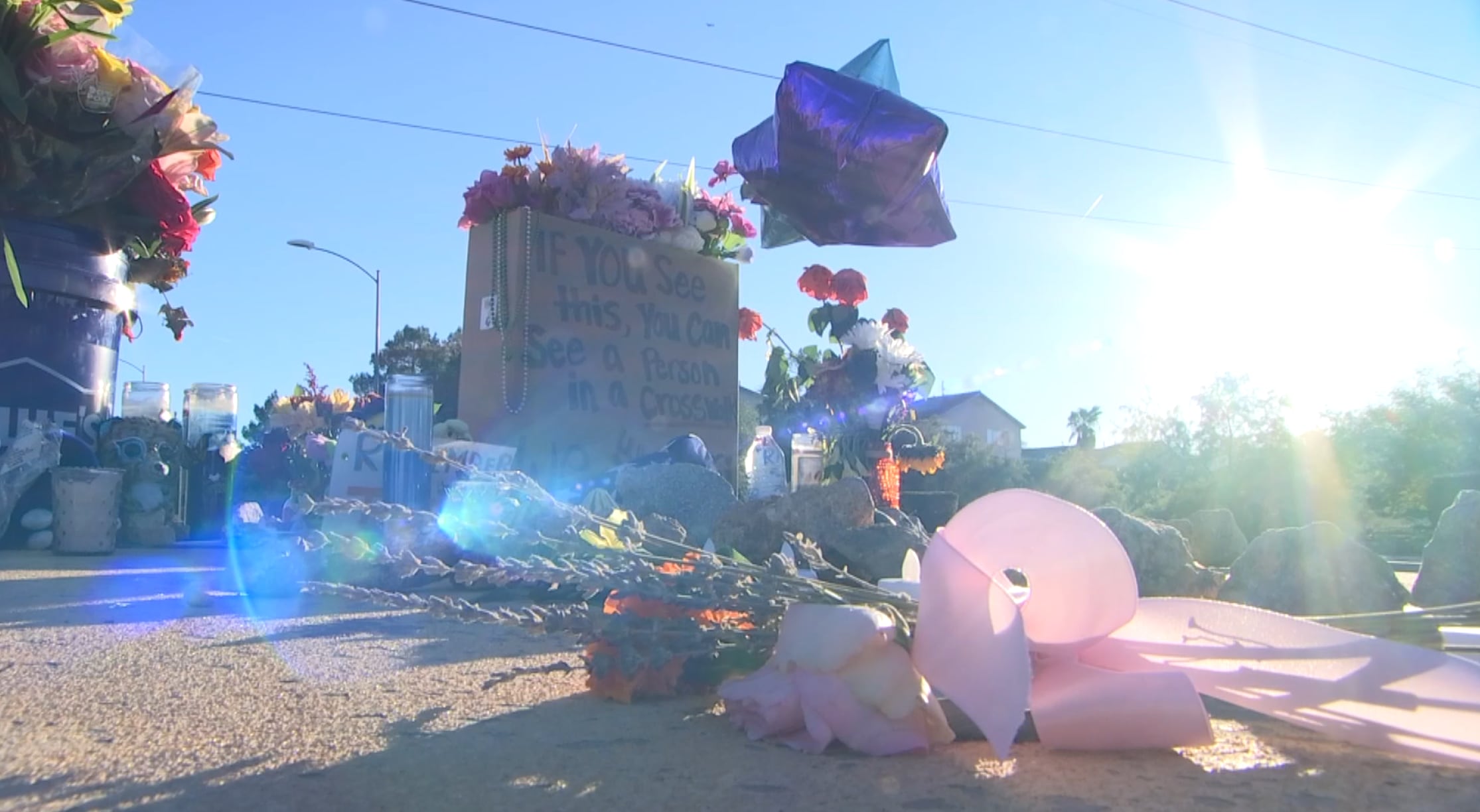 Family Calls for Safer Driving After 14-Year-Old Is Killed in Henderson