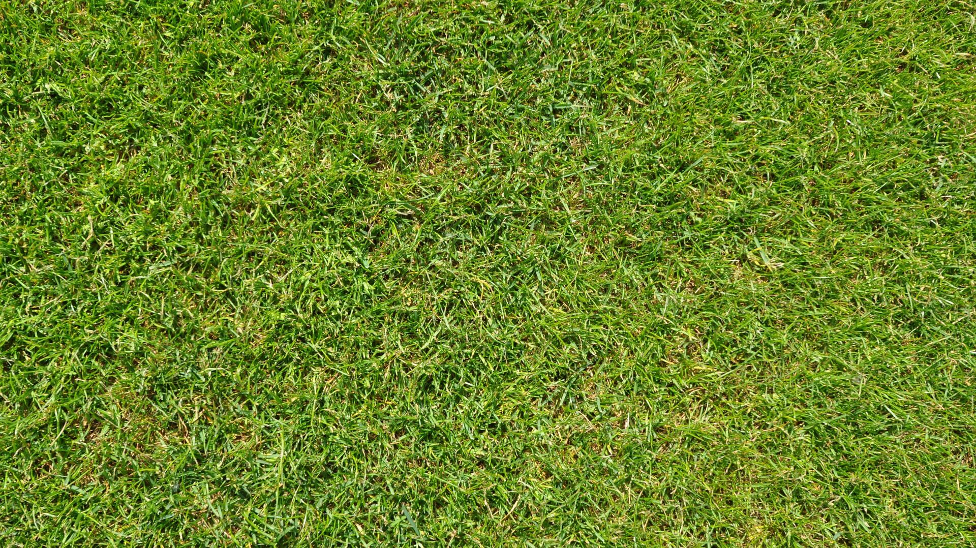 Las Vegas Residents Voice Concerns Over Parks Project Replacing Grass with Artificial Turf