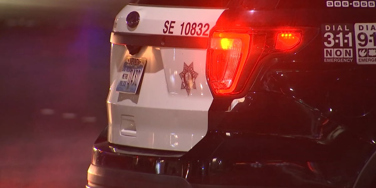 Veteran Las Vegas police officer arrested on domestic violence charges Veteran Las Vegas police officer arrested on domestic violence charges