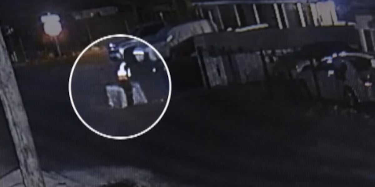 New video shows the night before a dog was found dead in a kennel in east Las Vegas New video shows the night before a dog was found dead in a kennel in east Las Vegas