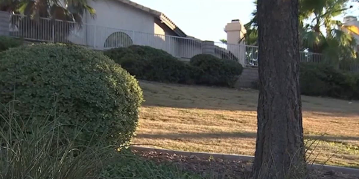 West Las Vegas Valley neighbors voice concerns about impacts of grass removal West Las Vegas Valley neighbors voice concerns about impacts of grass removal