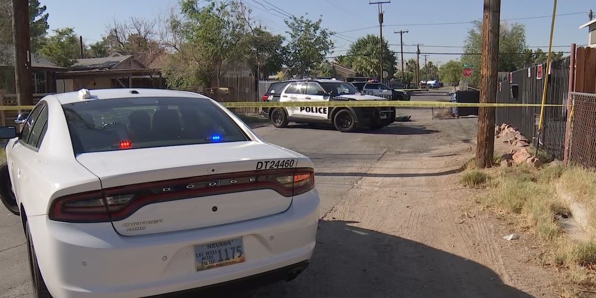 Las Vegas Police’ animal abuse unit taking over dog death investigation in east valley