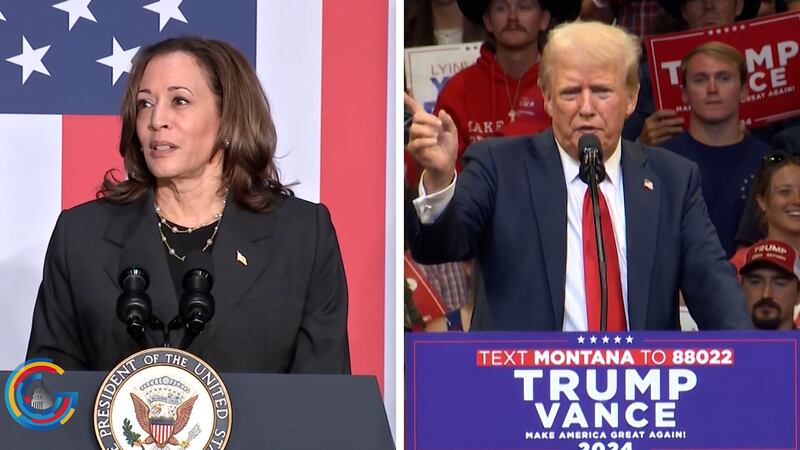 Voters react to presidential candidates