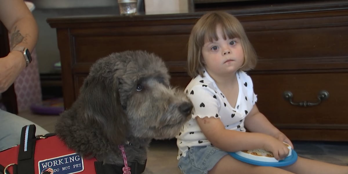 Las Vegas diabetic preschooler matched with live-saving alert dog