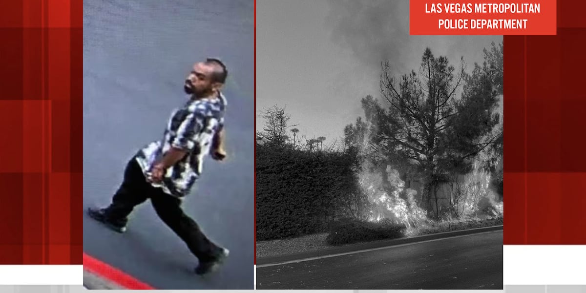 Man accused of setting fire to hedge at police HQ wanted to get arrested, report says Man accused of setting fire to hedge at police HQ wanted to get arrested, report says