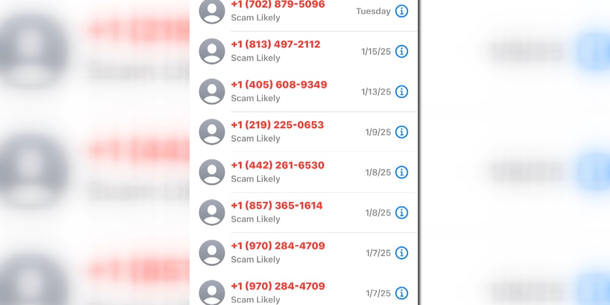 Las Vegas retiree logs spam calls for one year, security expert explains why to never answer unknown numbers Las Vegas retiree logs spam calls for one year, security expert explains why to never answer unknown numbers