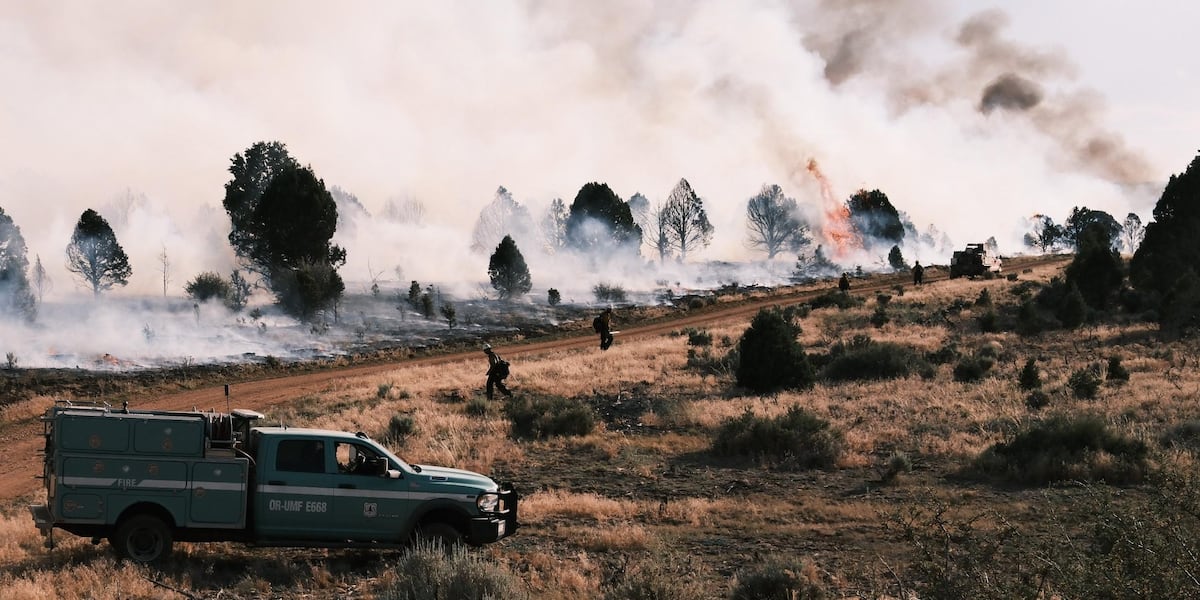 White Sage Fire grows to nearly 60K acres with 17% containment in northern Arizona