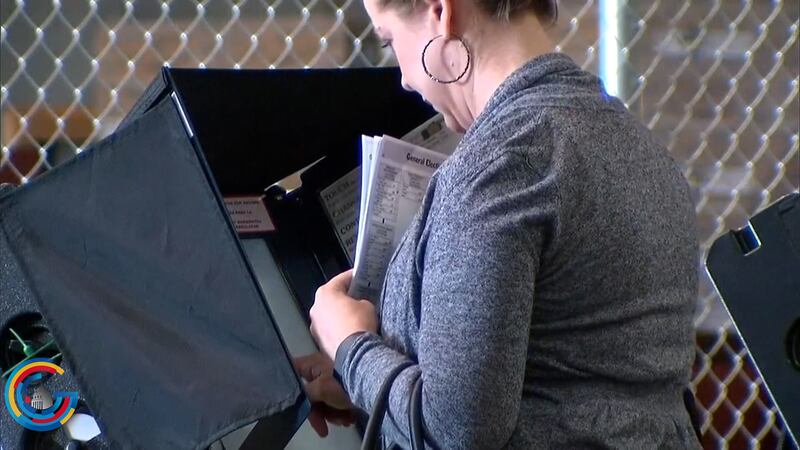 Demographics shaping the 2024 presidential election