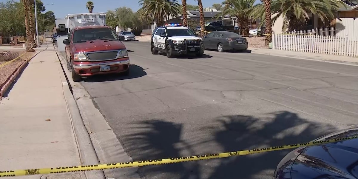 LVMPD: Suspect breaking in to Spring Valley home shot, killed LVMPD: Suspect breaking in to Spring Valley home shot, killed