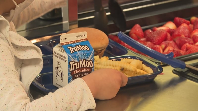 Nevada bill could make school lunch free.