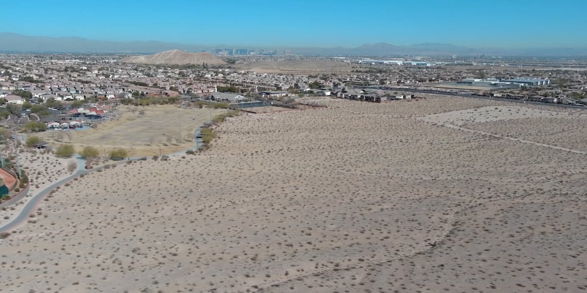 County Leaders, Metro Police, discuss safety solutions for Southwest Valley parks County Leaders, Metro Police, discuss safety solutions for Southwest Valley parks