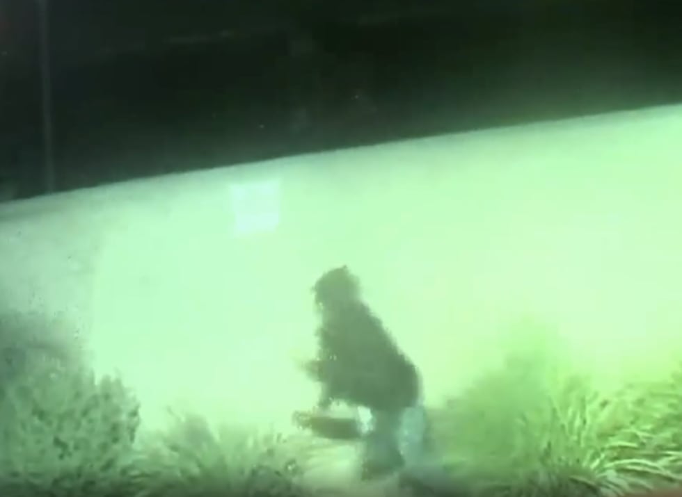 Las Vegas police are searching for the shooting suspects after a woman lost her eye in October.