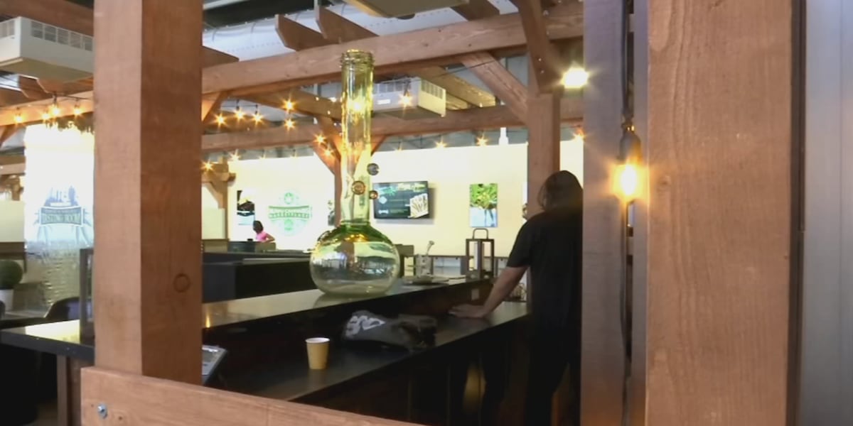 Nevada cannabis consumption lounges face hurdles despite legalization Nevada cannabis consumption lounges face hurdles despite legalization