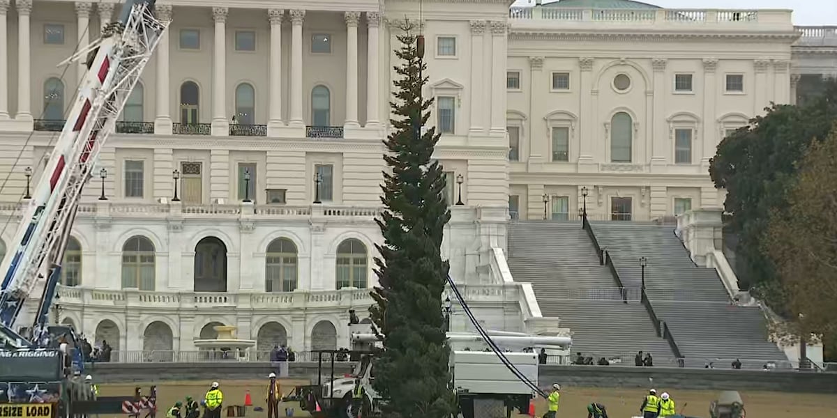 Nevada’s first Capitol Christmas tree arrives in DC for holiday season Nevada’s first Capitol Christmas tree arrives in DC for holiday season