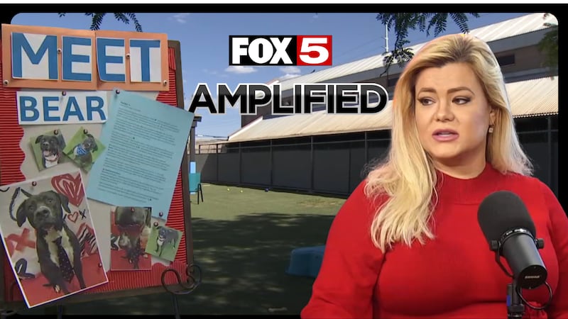 AMPLIFIED: Henderson Animal Shelter set for major upgrades as city growth strains 30-year-old...