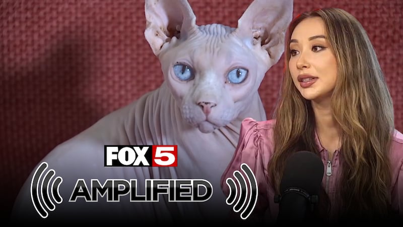Henderson Animal Control confiscated 21 sick cats and discovered deceased kittens at a local...