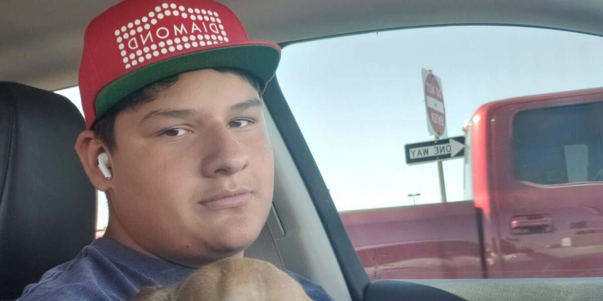 After one son killed, another injured riding e-scooters to dog park, mom calls for better driving in Las Vegas After one son killed, another injured riding e-scooters to dog park, mom calls for better driving in Las Vegas