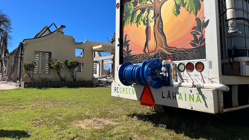 Regreen Lahaina is working to restore the area's verdant colors after devastating wildfires