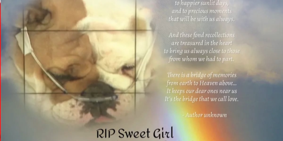 ‘Reba’s Law’ Update: Nevada Governor signs bill to strengthen animal cruelty penalties ‘Reba’s Law’ Update: Nevada Governor signs bill to strengthen animal cruelty penalties
