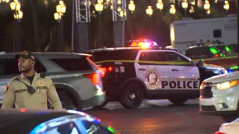 Road rage on Las Vegas Strip ends in a fatal shooting