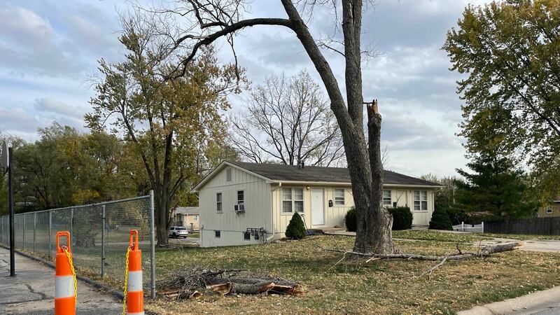 A tree fell at Pleasant Hill Elementary School, injuring a student on Oct. 29, 2024.