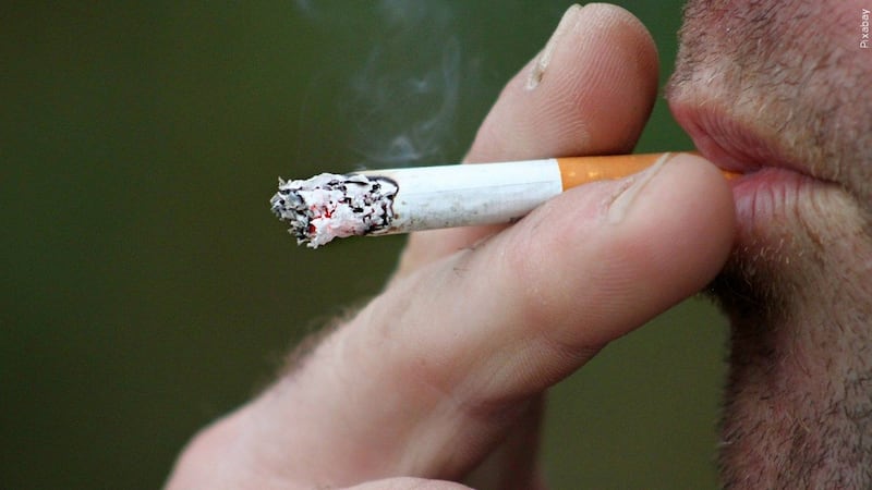 tui tobacco prices 2024 pdf Last-minute trips boost Europe's travel giant TUI, forward bookings dip tui tobacco prices 2024 pdf Last-minute trips boost Europe's travel giant TUI, forward bookings dip