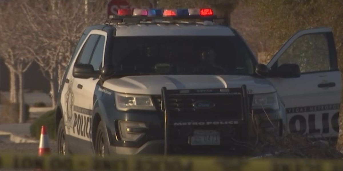 Las Vegas police investigate stabbing at All American Park Las Vegas police investigate stabbing at All American Park