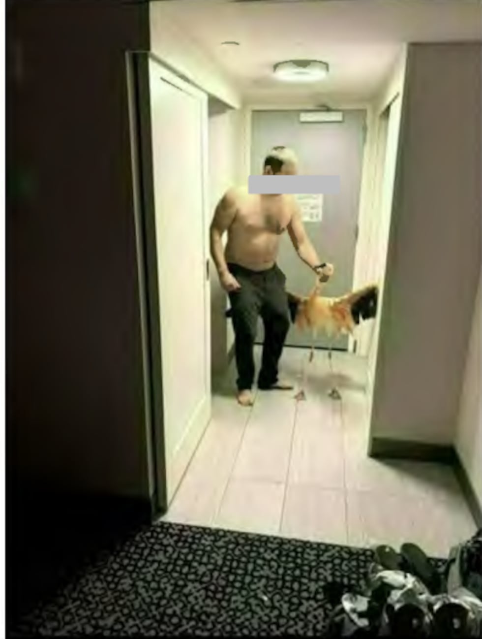 A man faces four counts of animal cruelty after Las Vegas police say he broke into a Flamingo...