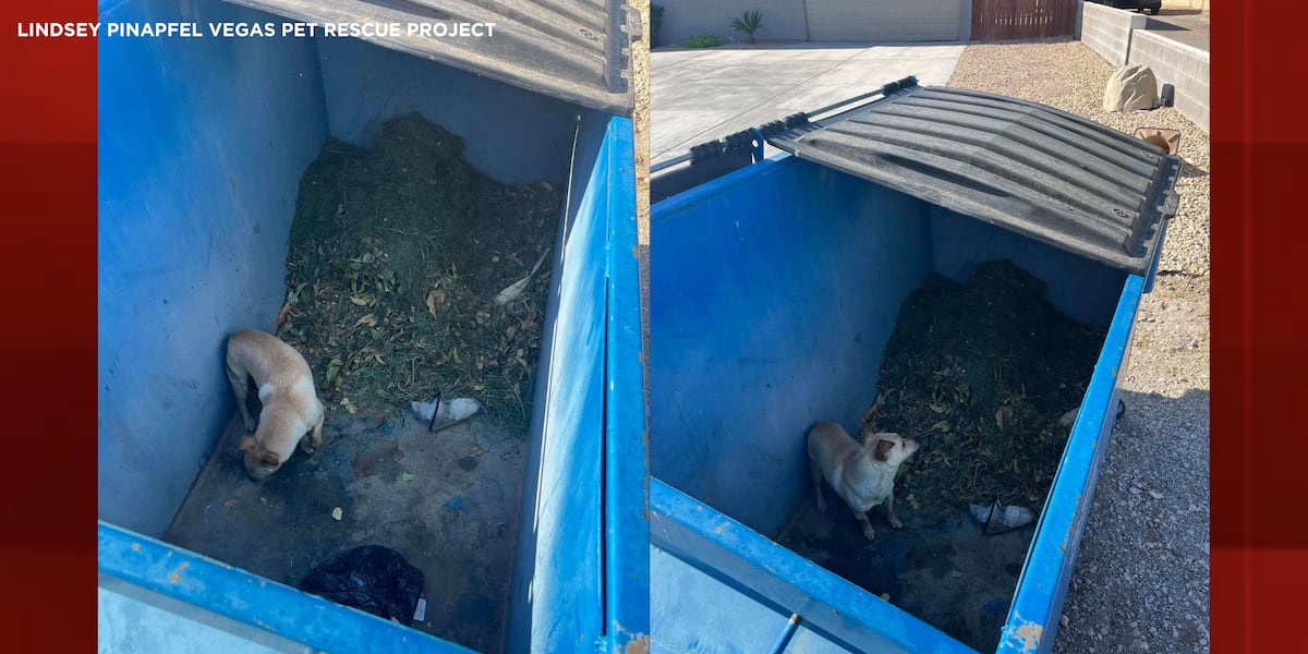 Dog dumping suspect released from Las Vegas jail after posting bond, records say Dog dumping suspect released from Las Vegas jail after posting bond, records say