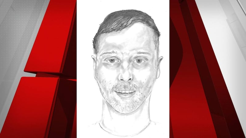 LVMPD provide sketch of I-15 homicide victim from Oct. 6, 2024.