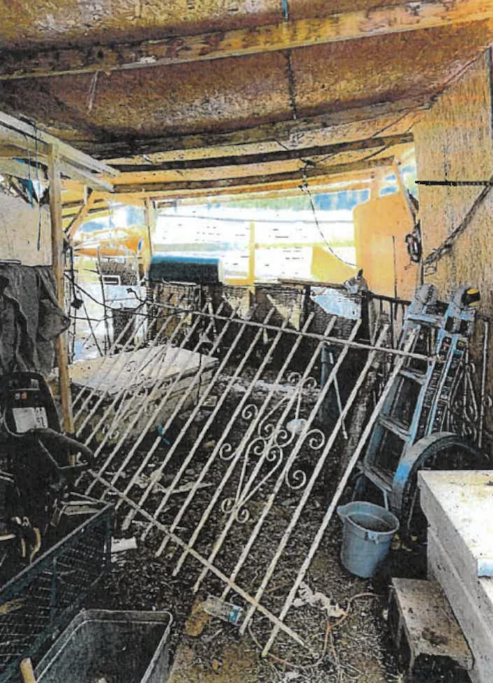 Police also said Guadalupe Camarillo Guarneros's home was not suitable for Pinto.