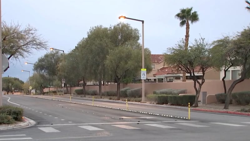 A Las Vegas family’s dog was killed in a hit-and-run. Now, they are urging the public to help...