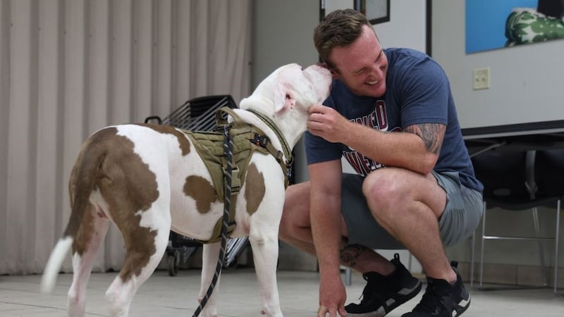 Sgt. Brayden Powell and his dog Tillman were reunited when he returned from deployment.