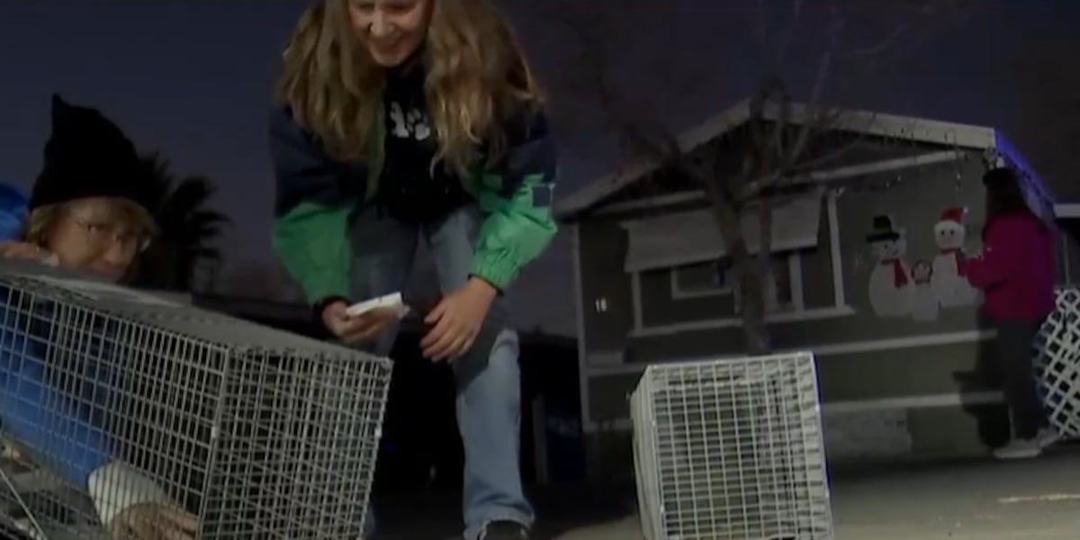 Las Vegas Valley cat trappers busy with start of pilot program Las Vegas Valley cat trappers busy with start of pilot program