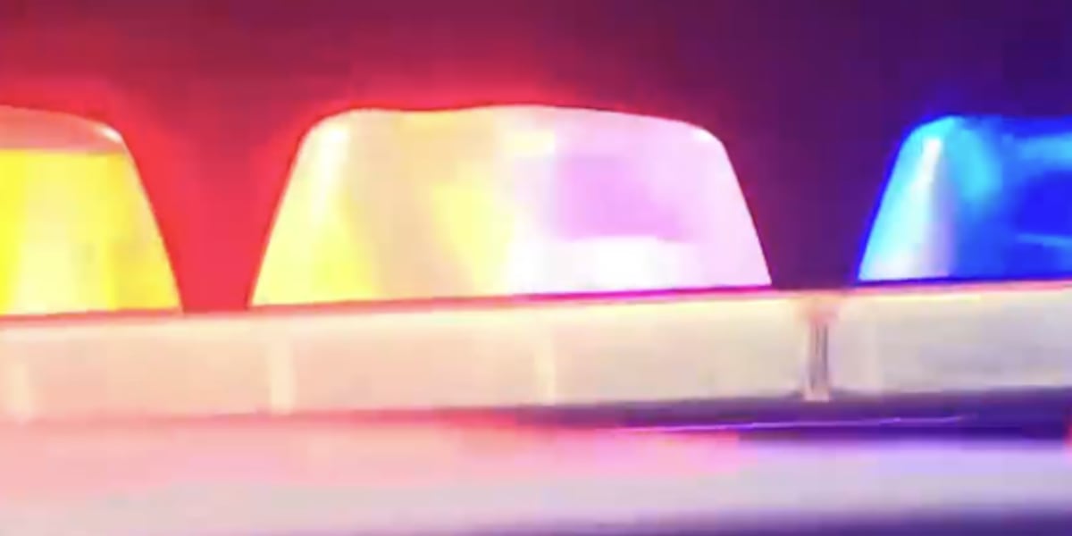 Suspect arrested after fleeing police during traffic stop in east Las Vegas Suspect arrested after fleeing police during traffic stop in east Las Vegas