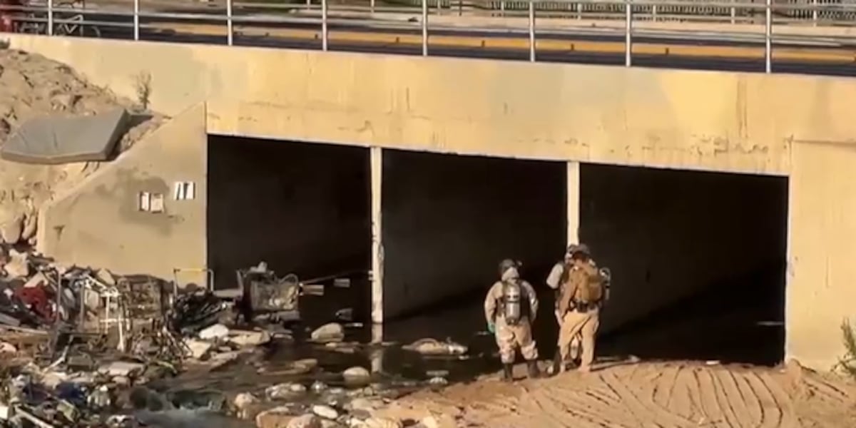 Las Vegas police explain steps to address chronic homeless concerns around UNLV Las Vegas police explain steps to address chronic homeless concerns around UNLV