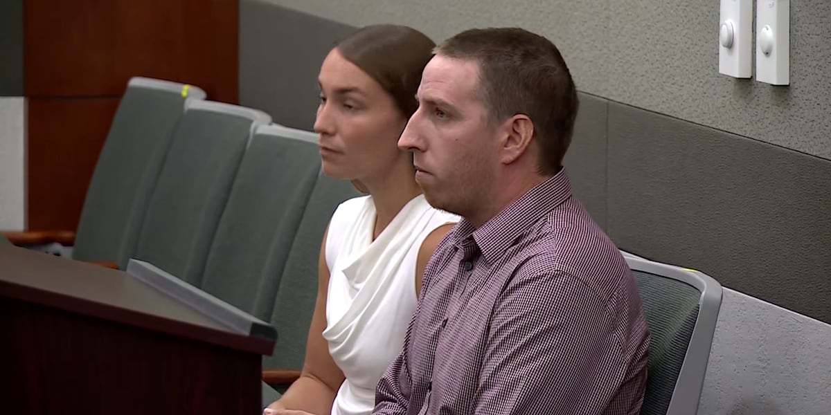 Man accused of injuring flamingos on Las Vegas Strip makes first in-person court appearance