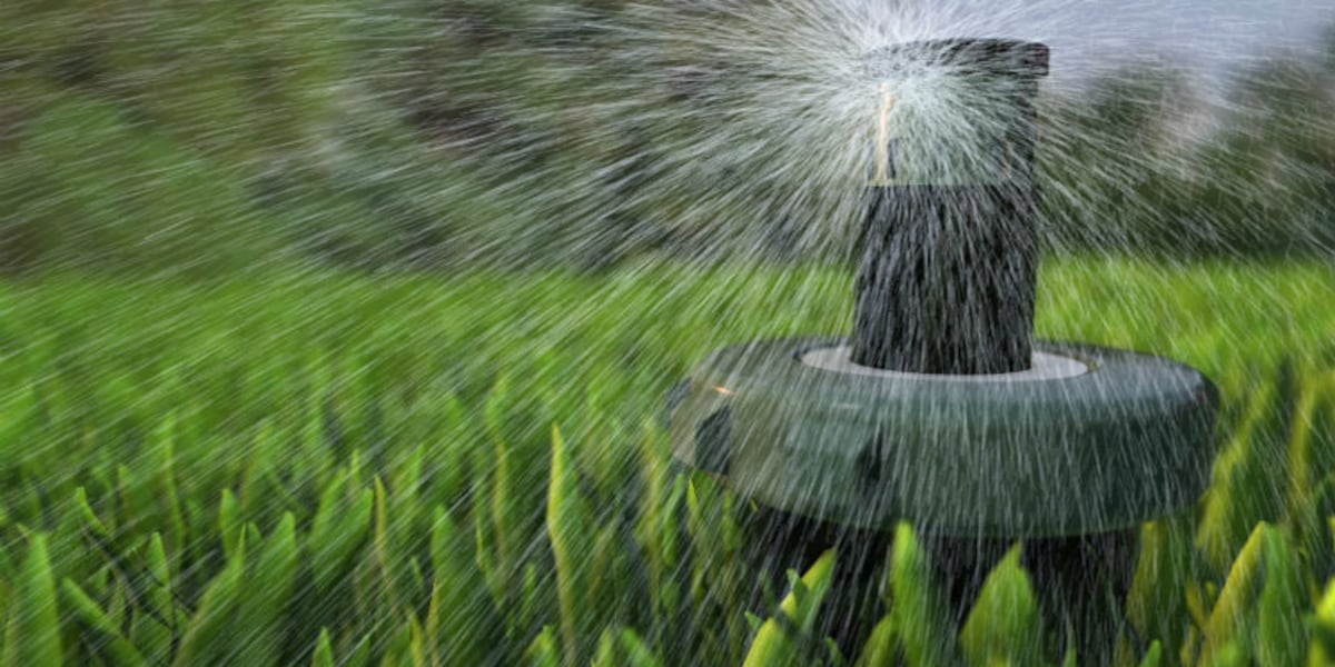 When winter watering restrictions start in Las Vegas Valley