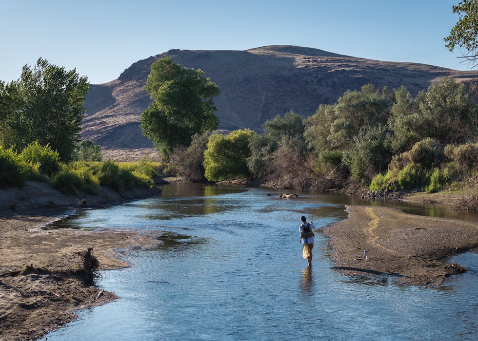 Nevada is adding its newest state park near Carson City, and is calling on the public to help...