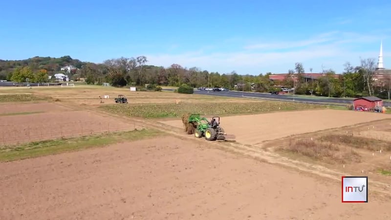 'Good for the Soul': Nonprofit turns unused church land into a farm producing food for the...