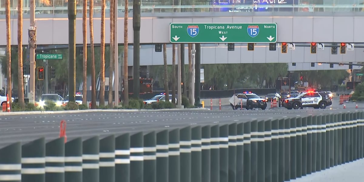 Pedestrian hit, killed by vehicle near Las Vegas Strip intersection Pedestrian hit, killed by vehicle near Las Vegas Strip intersection