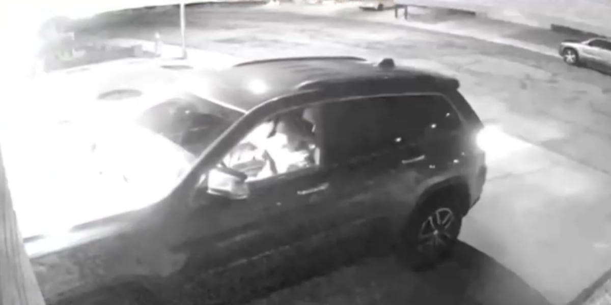 Southwest Las Vegas vandalism suspect charged after ramming more than a dozen homes Southwest Las Vegas vandalism suspect charged after ramming more than a dozen homes