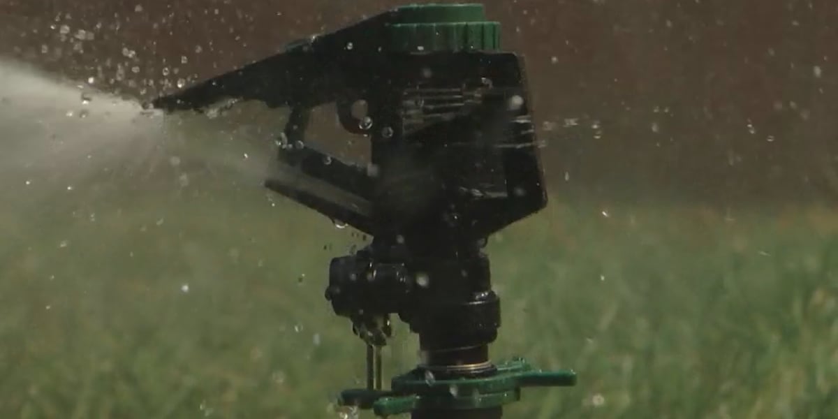 Southern Nevada boosts cash incentive for water-saving landscaping Southern Nevada boosts cash incentive for water-saving landscaping