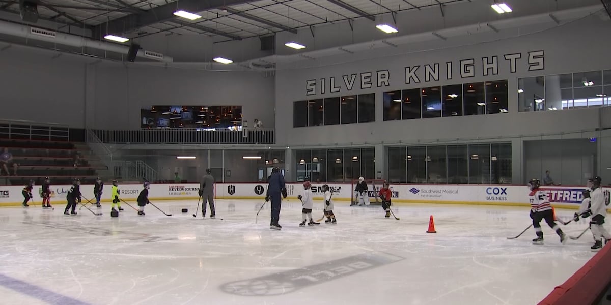 UNLV Rebel hockey ready to drop the puck in 2024-25 season UNLV Rebel hockey ready to drop the puck in 2024-25 season