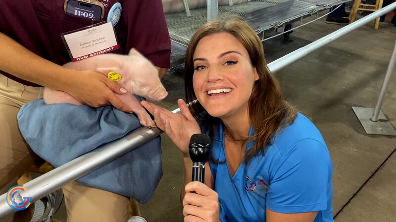 The politics of the Minnesota state fair