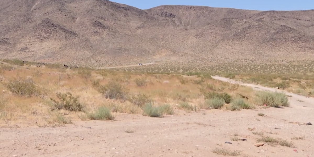 Millions of acres of public land across Nevada, Western states could be sold in latest proposal from Congress Millions of acres of public land across Nevada, Western states could be sold in latest proposal from Congress