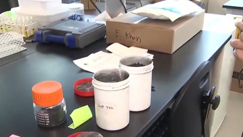 Here in Clark County, we recycle 99 percent of the water we use indoors via several treatment...