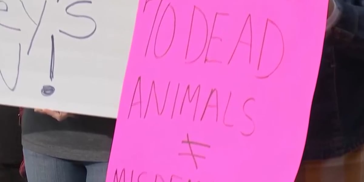 Animal activists protest plea deals in Las Vegas Animal activists protest plea deals in Las Vegas