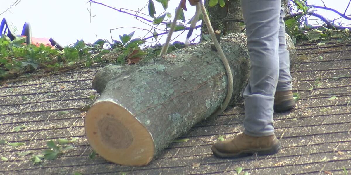 Monsoon and fire season bring fake contractors calling Monsoon and fire season bring fake contractors calling