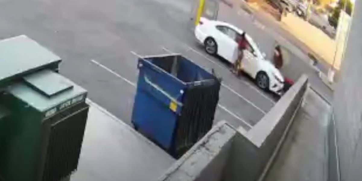 LVMPD: Video shows drop off of tote bin where Reba the Bulldog was found LVMPD: Video shows drop off of tote bin where Reba the Bulldog was found